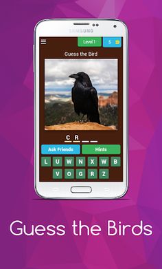 Birds guess - Screenshot 1