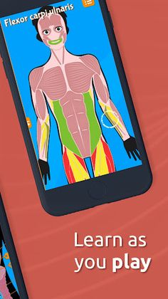 Human Anatomy - Body parts - Screenshot 3