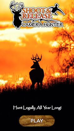 Shoot & Release: Camera Hunter - Screenshot 1