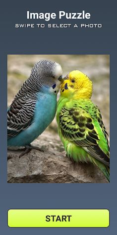 Image puzzle - Screenshot 2