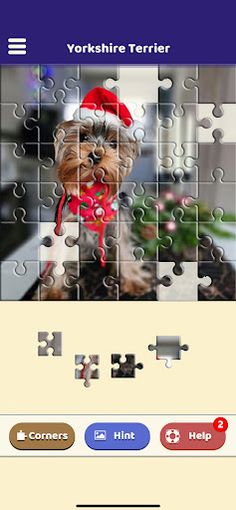 Yorkshire Terrier Puzzle - Screenshot 4