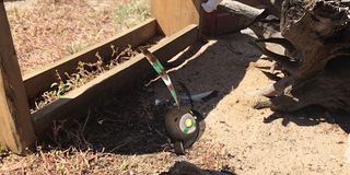 KoKo's Curse - Screenshot 3