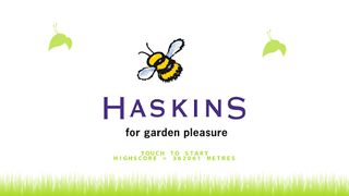 Haskins Buzzy Bee - Screenshot 1