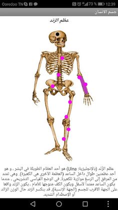 جسم الانسان - Screenshot 1