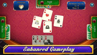 29 Card Game - Screenshot 3