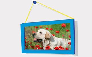 Picture Puzzle: Labrador Retri - Screenshot 1