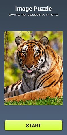 Image puzzle - Screenshot 1