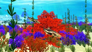 The Cobia - Screenshot 2