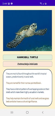 Endangered - Screenshot 1