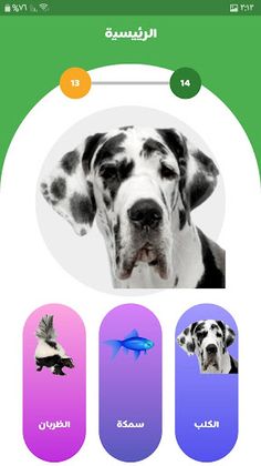 تعلم اسماء الحيوانات - Screenshot 2