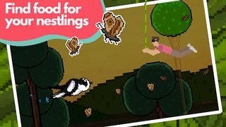 Hungry Birds - Screenshot 2