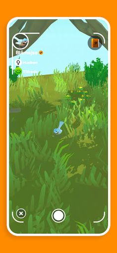 DR Naturspillet - Screenshot 4