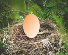 Break Egg - Screenshot 1