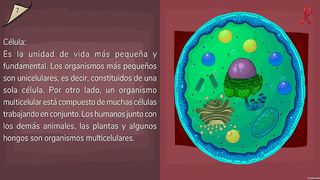 Mis Células y Yo - Screenshot 1