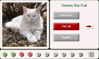 Guess the Cat: Tile Puzzle - Screenshot 1