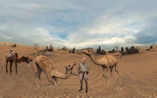 Camel Attack Fighting - Screenshot 2