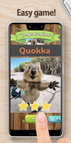 Healing Matching Puzzle Animal - Screenshot 4