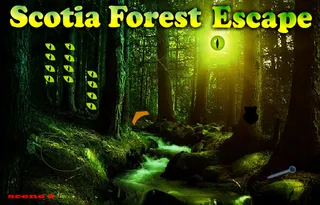 Scotia Forest Escape - Screenshot 3