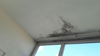 DONT BUY - Screenshot 1