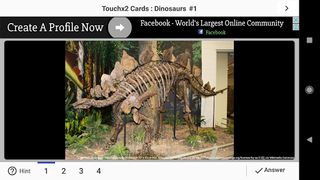 Touchx2 Cards : Dinosaurs - Screenshot 1