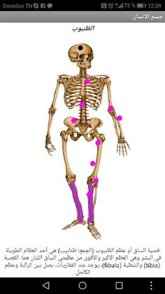 جسم الانسان - Screenshot 2