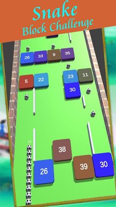 Snake Block Challenge - Screenshot 1