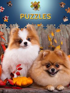 Dog and Puppys Jigsaw Puzzles - Screenshot 3
