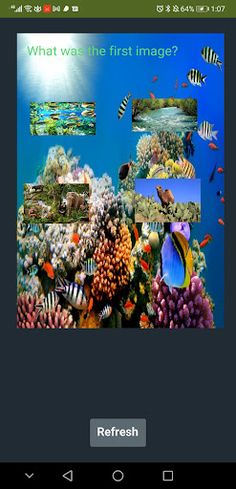 Memory Game - Screenshot 2