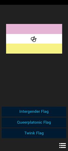 LGBT Pride Flag Quiz by STW628 - Screenshot 4