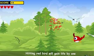 Birds hunting - Screenshot 3