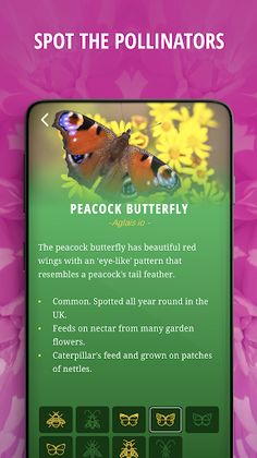 Tower Superbloom AR - Screenshot 3