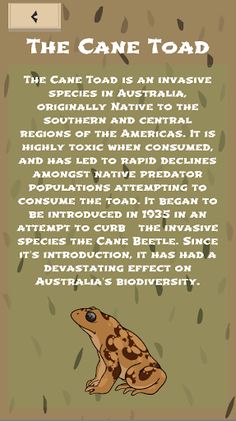 Yeet dat Toad! - Screenshot 3