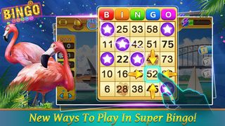 Bingo Happy - Card Bingo Games - Screenshot 1