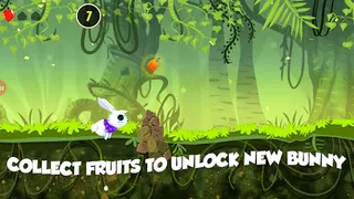 Run Bunny Run - Screenshot 3