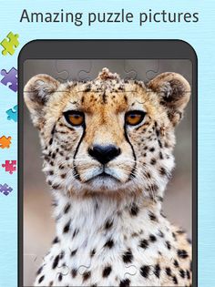 Wild animals puzzles - Screenshot 1