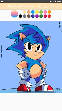 Hedgehog Coloring Book Pages - Screenshot 2