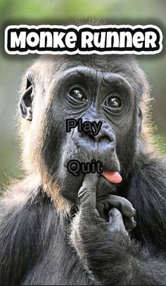 Monke Runner - Screenshot 1