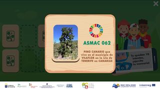 Memoria forestal - Screenshot 3