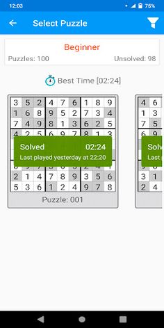 Sudoku Mania Pro - Screenshot 2