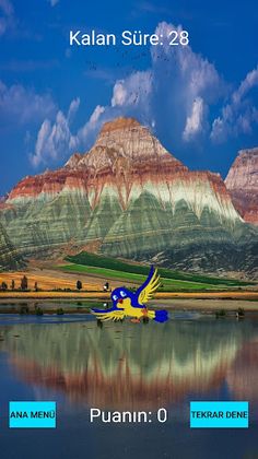 Catch The Bird - Screenshot 3