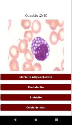 HemoQuiz: Quiz Hematologia - Screenshot 4
