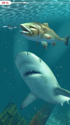 Rapala Fishing - Daily Catch - Screenshot 2