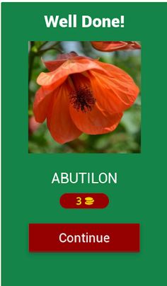 Flowers Quiz - Screenshot 2