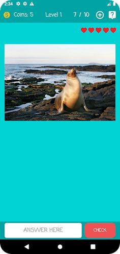 Guess Animal Name - Screenshot 1