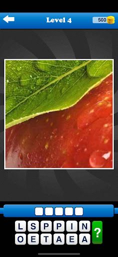 Guess the Close Up Pics Quiz - Screenshot 1