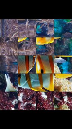 RH Puzzle Photo - Screenshot 2