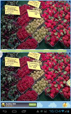 Find Differences Fruit Hunt - Screenshot 4