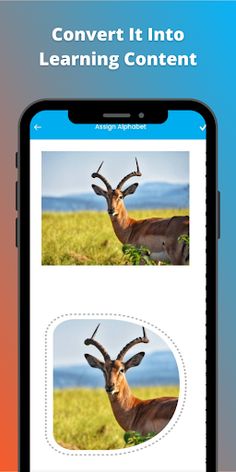 alphaTUB - Screenshot 2