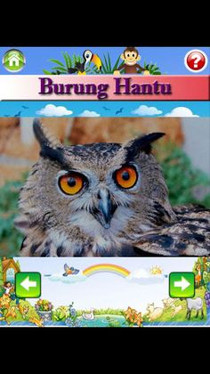 Belajar Mengenal Nama dan Suar - Screenshot 3