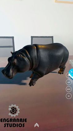 Safari ESAR - Screenshot 2